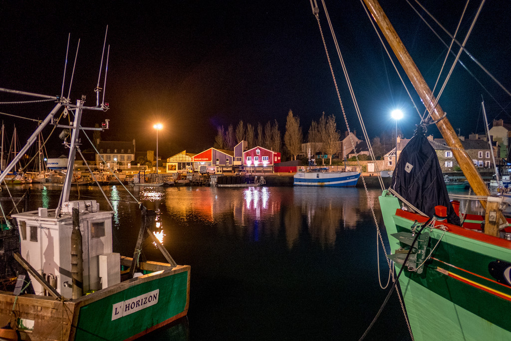 ONS 10 - Day 6: Low Light - Paimpol Port by Night by vignouse