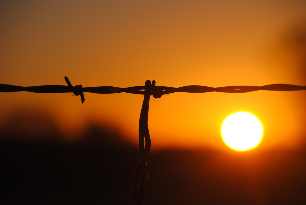 Barbed Wire Sunrise by genealogygenie