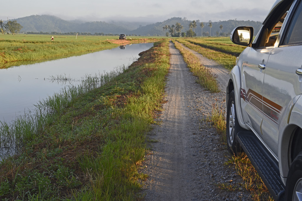 Track over rice paddy Kedah by ianjb21