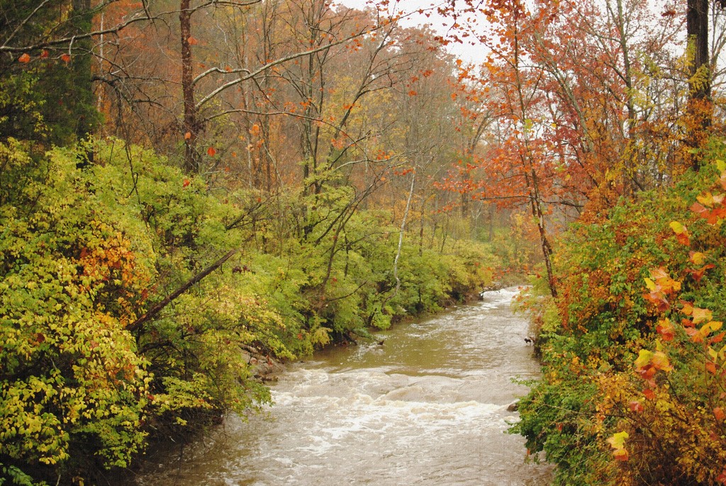 The Autumn Creekside Canvas by alophoto