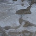 Day 128 - Mud Puddled Ice by ravenshoe