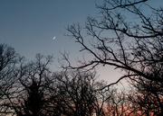 14th Nov 2015 - Moon and Sunset