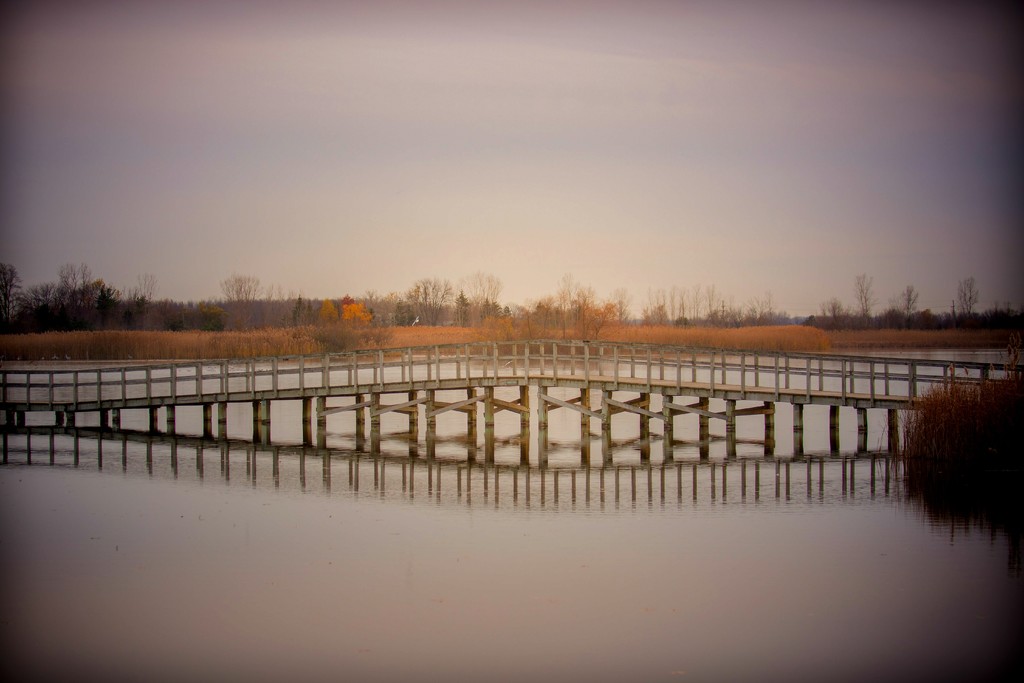 the marsh 2 by jackies365