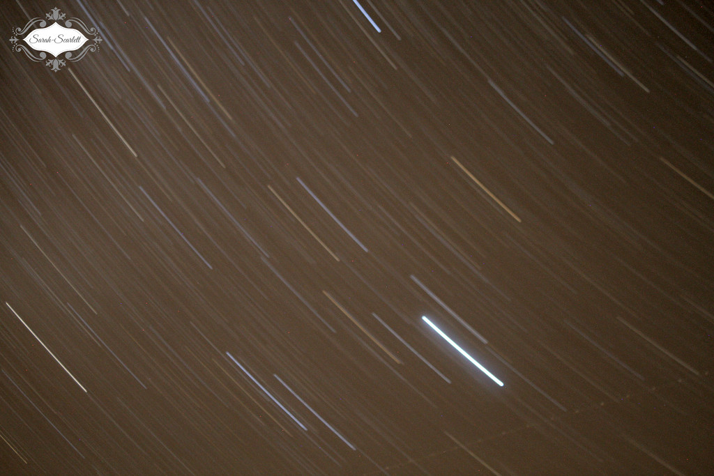 Star Trails by sarahlh