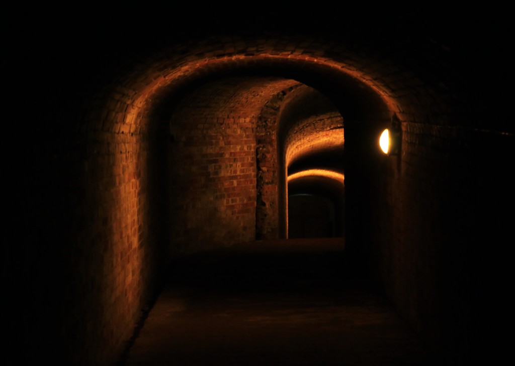 Servants tunnel by shepherdmanswife