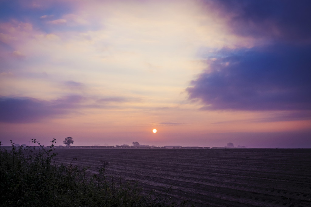 Day 277, Year 3 - Early Light In Norfolk by stevecameras
