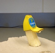16th Nov 2015 - banana hat