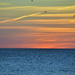 Lake Michigan sunrise by missbecky