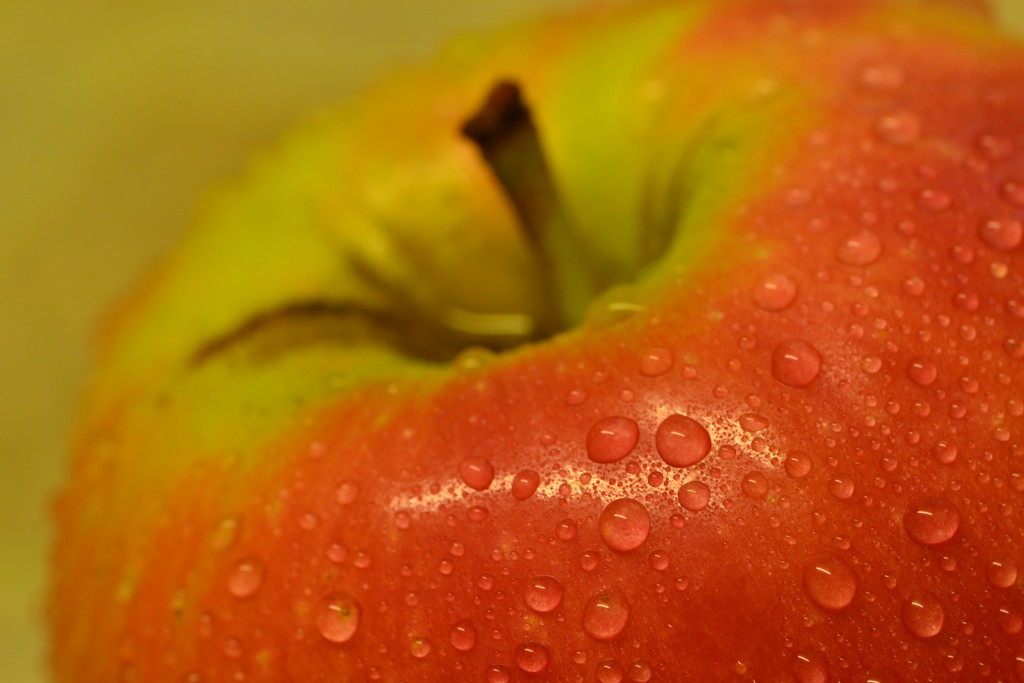 An apple a day  ......... by ziggy77