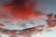 18th Nov 2015 - Red sky in the morning