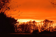 18th Nov 2015 - Orange sunset