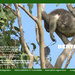 Feb koala calendar page by koalagardens