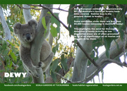 6th Nov 2015 - Mar koala calendar page
