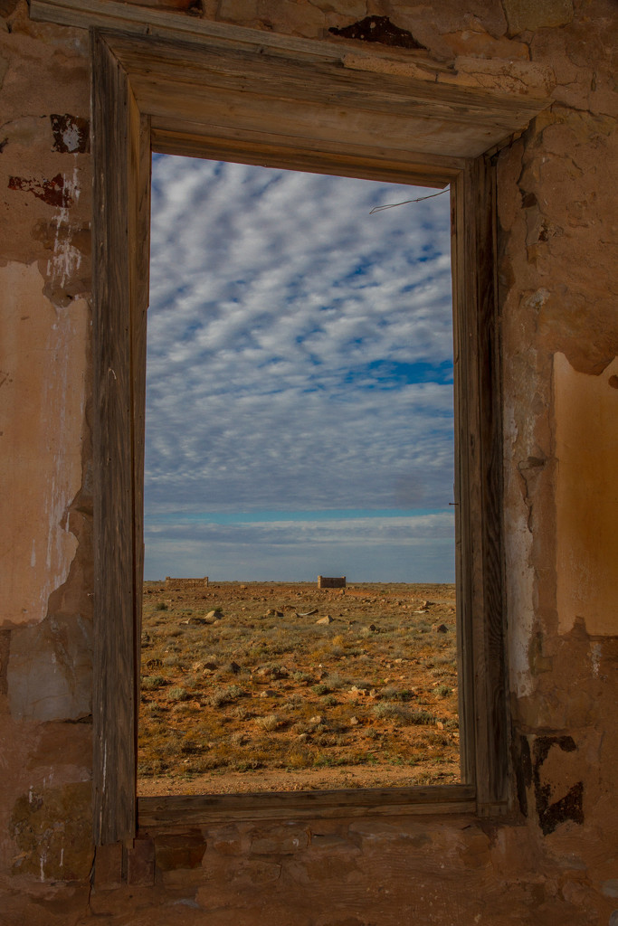Desert framed by pusspup