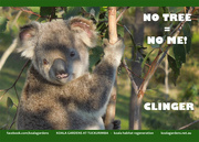12th Nov 2015 - Sep koala calendar page