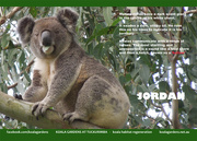 14th Nov 2015 - Nov koala calendar page
