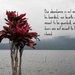 Made this from a Bali Photo and my penned phrase by darylo