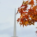 Church Steeple, Autumn Leaves by kareenking