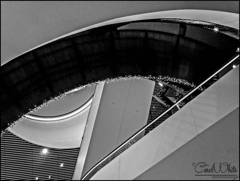 Lines And Curves by carolmw