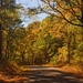 Backroads of East Texas by lynne5477