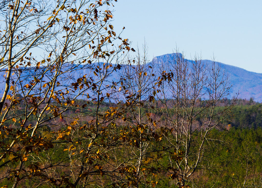 View from Grace Ridge by randystreat