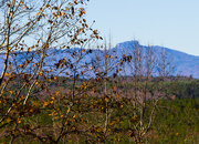 20th Nov 2015 - View from Grace Ridge