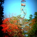 Fire Tower in the Fall by homeschoolmom