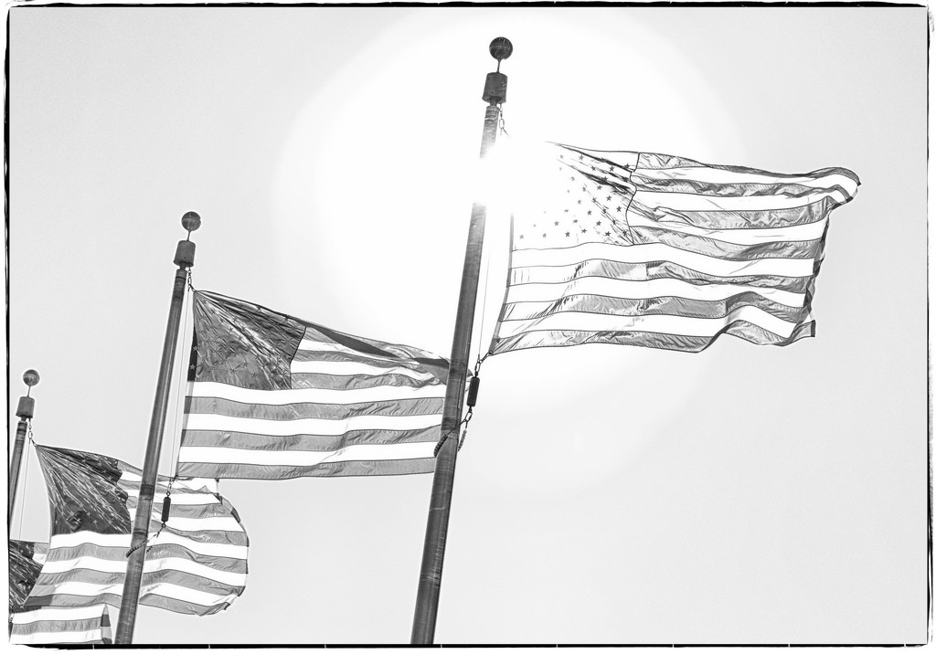 Flags by shesnapped