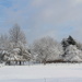 The first snowfall of the year by lindagene