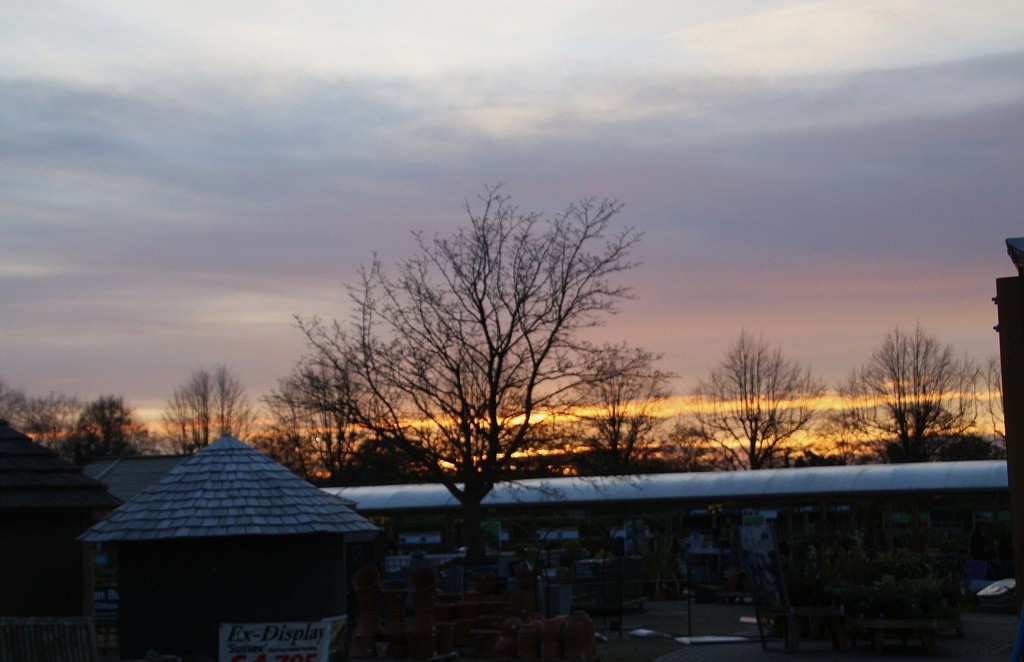 Sunset at Bridgemere Garden Center by oldjosh