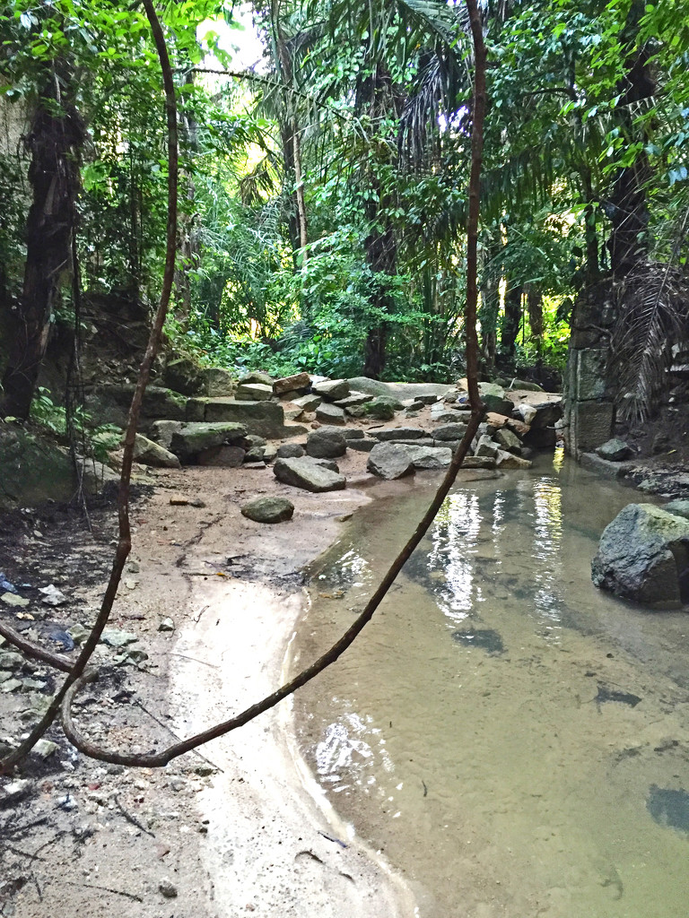 Fresh water stream, Kebun Bungah by ianjb21