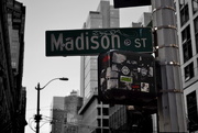 20th Nov 2015 - Madison Street