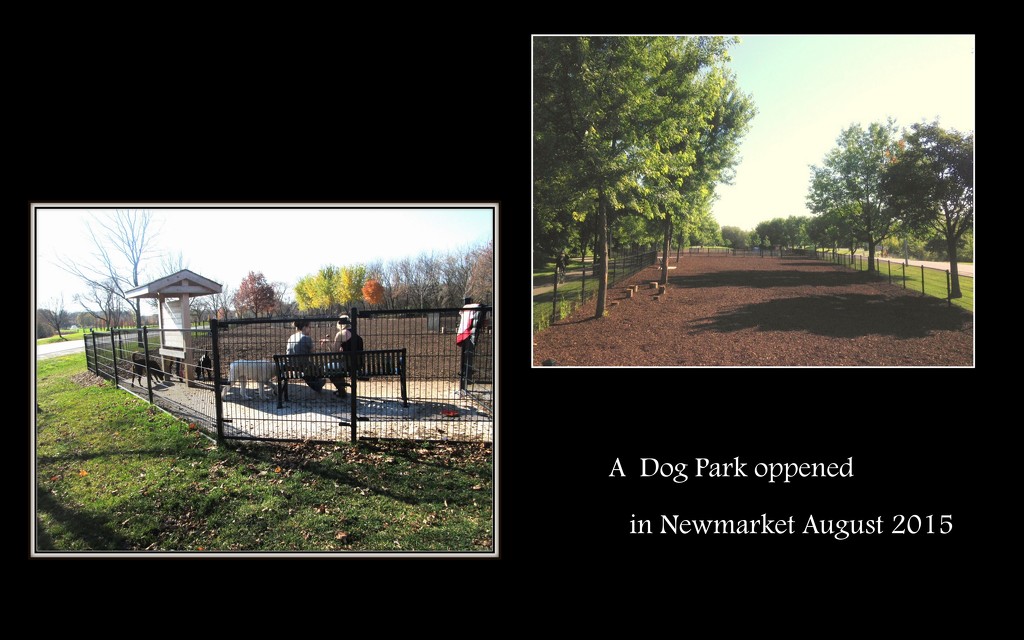 A new dog park by bruni