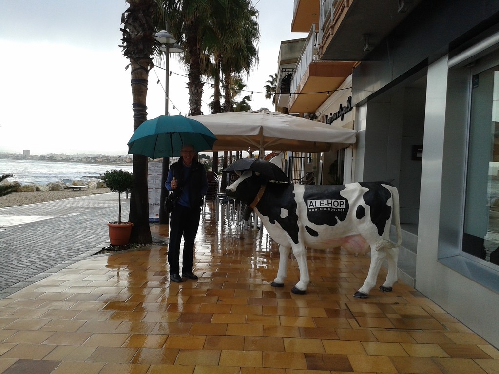 Rain in Spain!  by chimfa