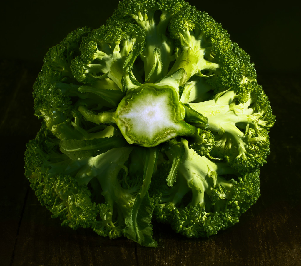 broccoli by davidrobinson