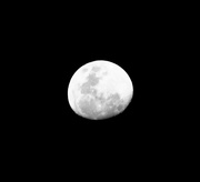 24th Nov 2015 - Moon..6.30pm. 23rd. November.