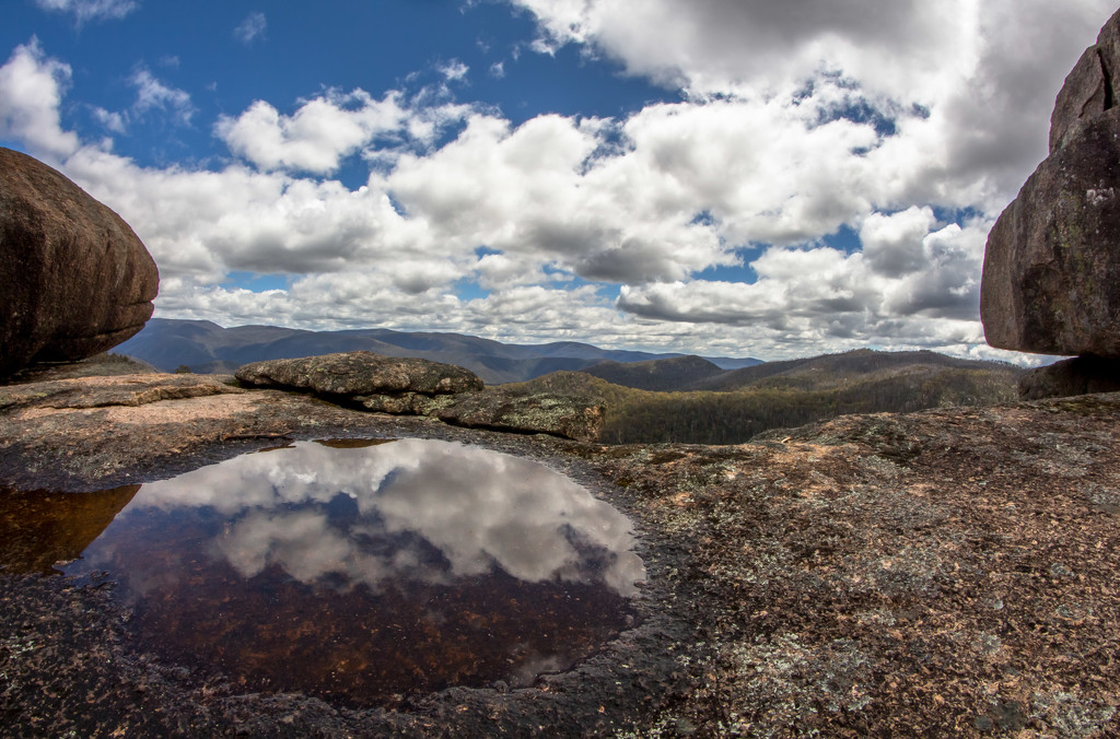 reflected forever view by pusspup