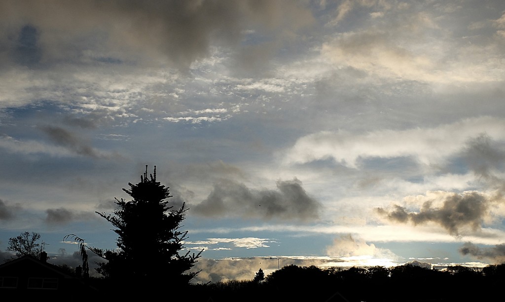 morning sky - Tuesday by quietpurplehaze