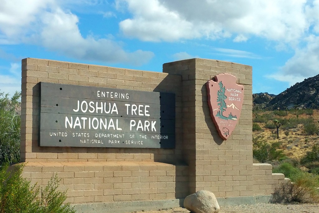 Joshua Tree National Park by mariaostrowski
