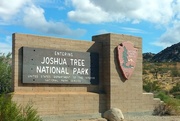 13th Oct 2015 - Joshua Tree National Park
