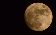 24th Nov 2015 - Moon Shot for November