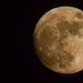Moon Shot for November by rickster549