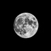 Full Moon by rosiekerr