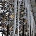 icicles by dmdfday