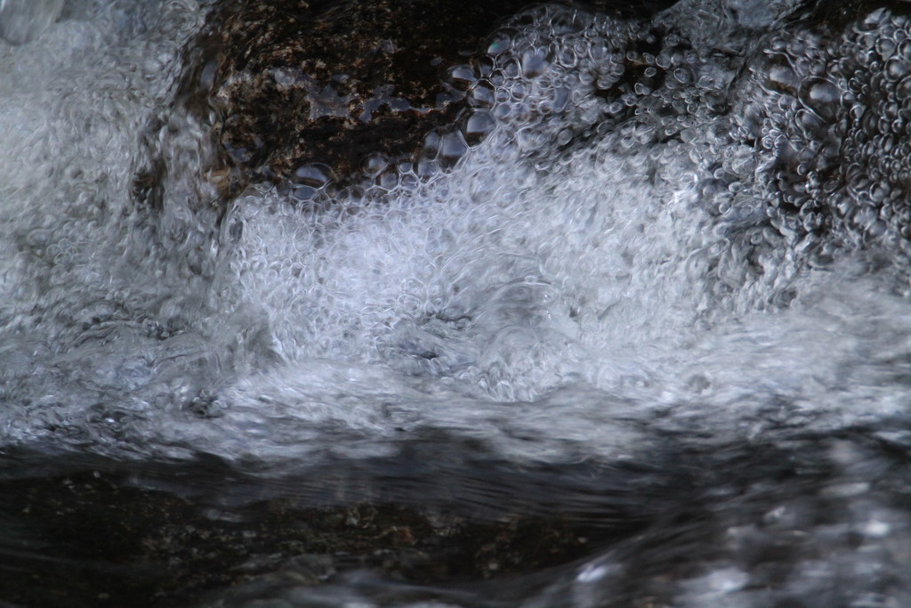 At the Dam by tosee