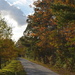 Country road in Autumn, Dorchester County, South Carolina by congaree