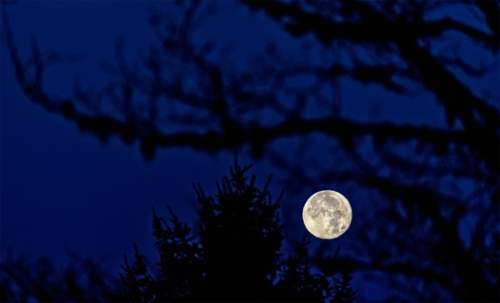 Twilight Moon by jgpittenger