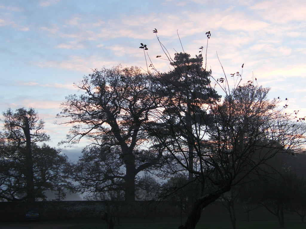 Evening sky at Blickling by jeff
