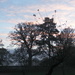 Evening sky at Blickling by jeff