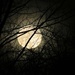 Thanksgiving moon. by maggie2